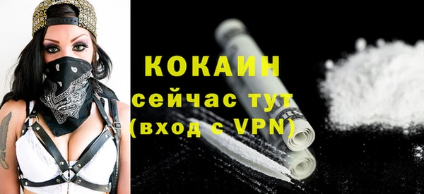 соль ск Новозыбков