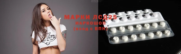 соль ск Новозыбков