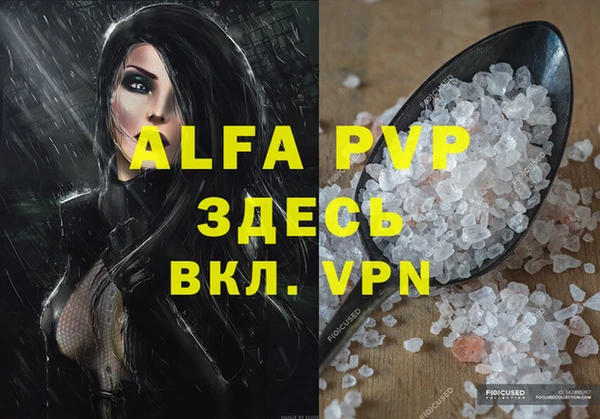 ECSTASY Алзамай