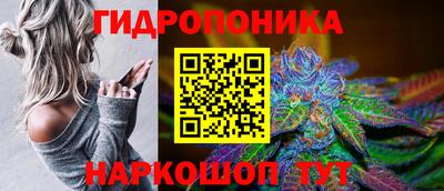 эйфоретик Тверь