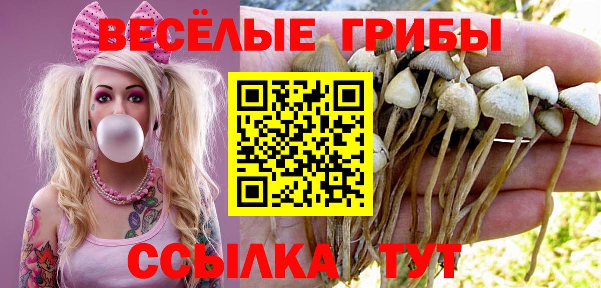 Галлюциногенные грибы прущие грибы  Галлюциногенные грибы Psilocybine cubensis  Тейково  Вход с VPN 